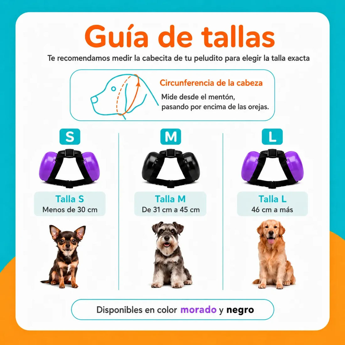 Cómo acostumbrar a tu perro a las orejeras paso a paso (y cómo elegir la talla)