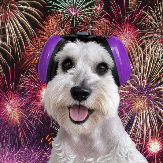perrito sonriendo porque no escucha la pirotecnia